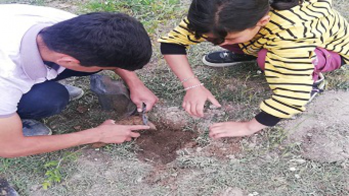 ÇEDES PROJESİ KAPSAMINDA KARDEŞ OKULUMUZ  İÇİN ÇAM FİDANI DİKTİK