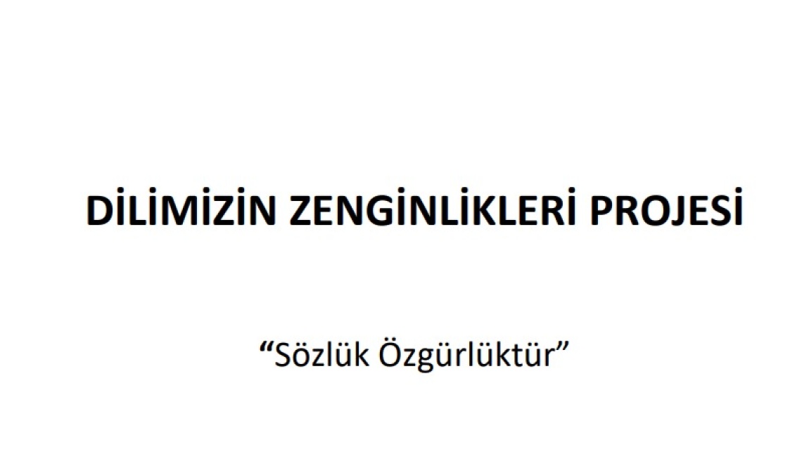 DİLİMİZİN ZENGİNLİKLERİ PROJESİ